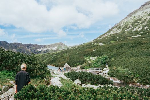 Experience the serenity of a mountain hike surrounded by lush greenery and stunning views.