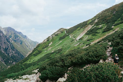 Kostenloses Stock Foto zu aktivität, baum, berg