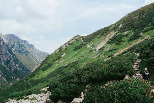 Free A hiker walks along a picturesque trail in the Tatras mountains, surrounded by lush, green scenery. Stock Photo