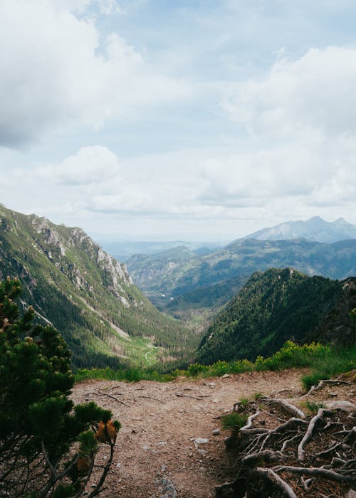 คลังภาพถ่ายฟรี ของ tatra, tatry, zakopane