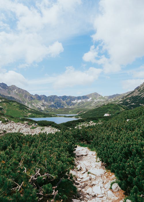 คลังภาพถ่ายฟรี ของ tatra, tatry, zakopane