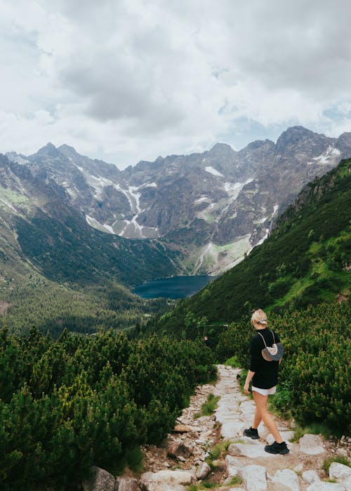 tatry, 경치, 골짜기의 무료 스톡 사진