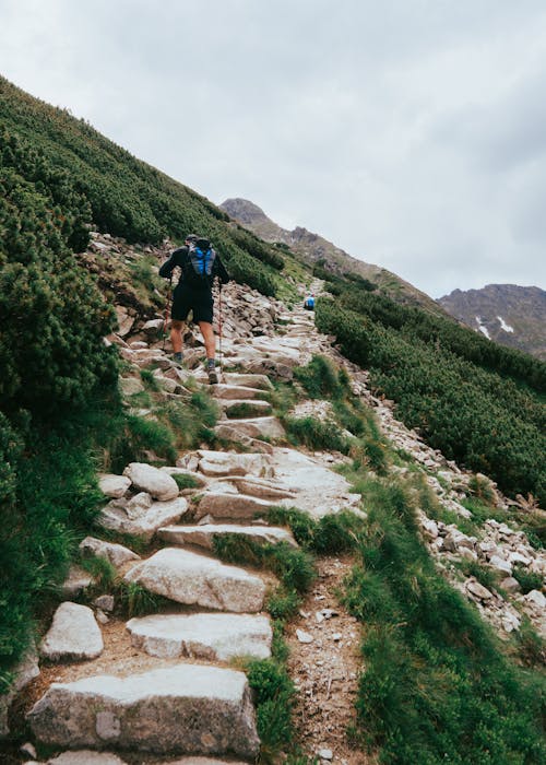 tatry, 건축, 경치의 무료 스톡 사진