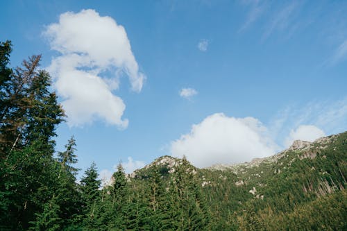 tatry, 가을, 경치의 무료 스톡 사진