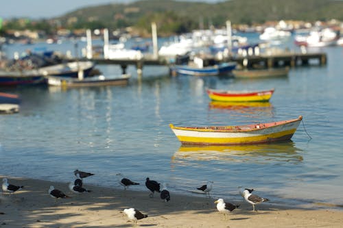Fotos de stock gratuitas de aldea de pescadores, botes, mar