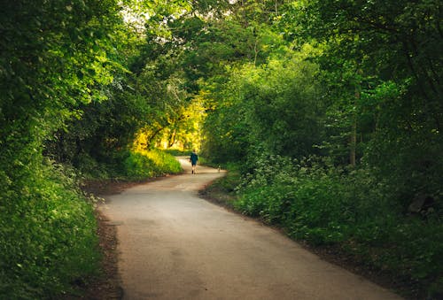 아름다운 마법의 녹색 여름 길에서 개를 산책시키는 소녀