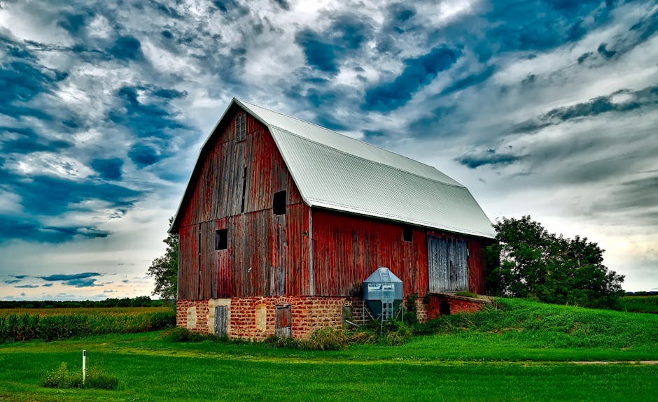 Barn on Field Against Sky