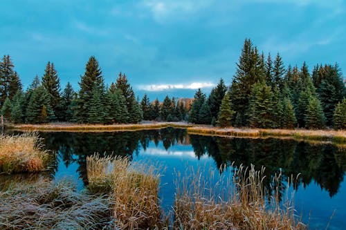 Free Panoramic View of Lake in Forest Stock Photo