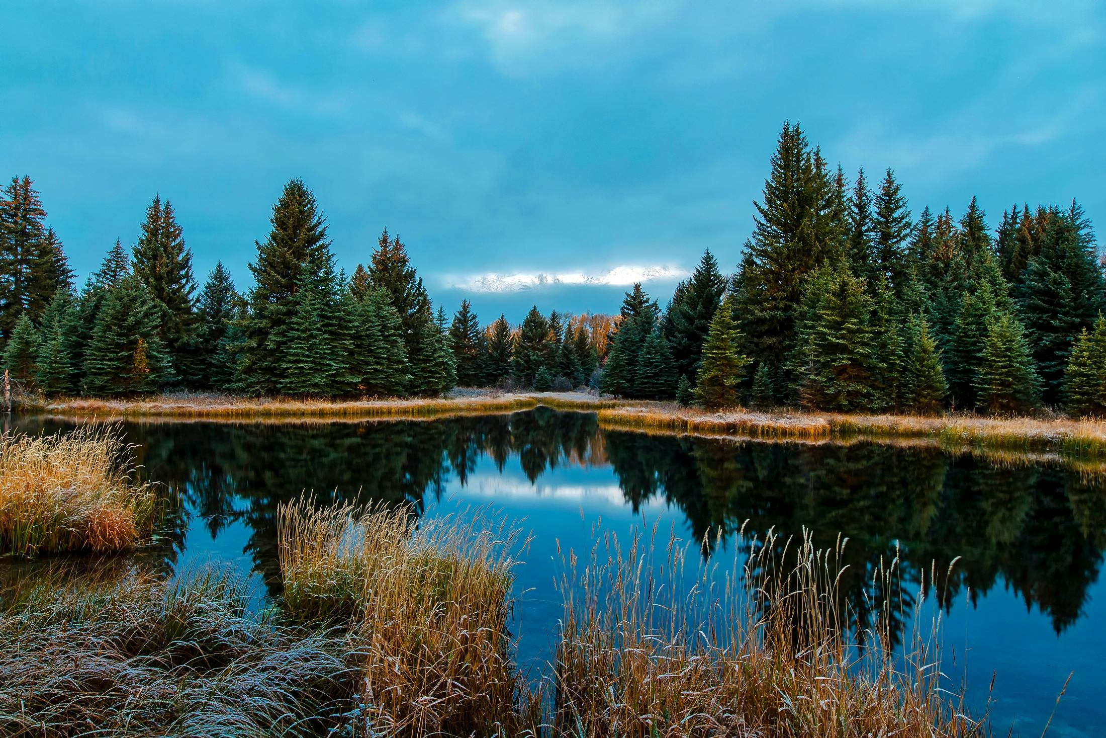 Panoramic View of Lake in Forest · Free Stock Photo