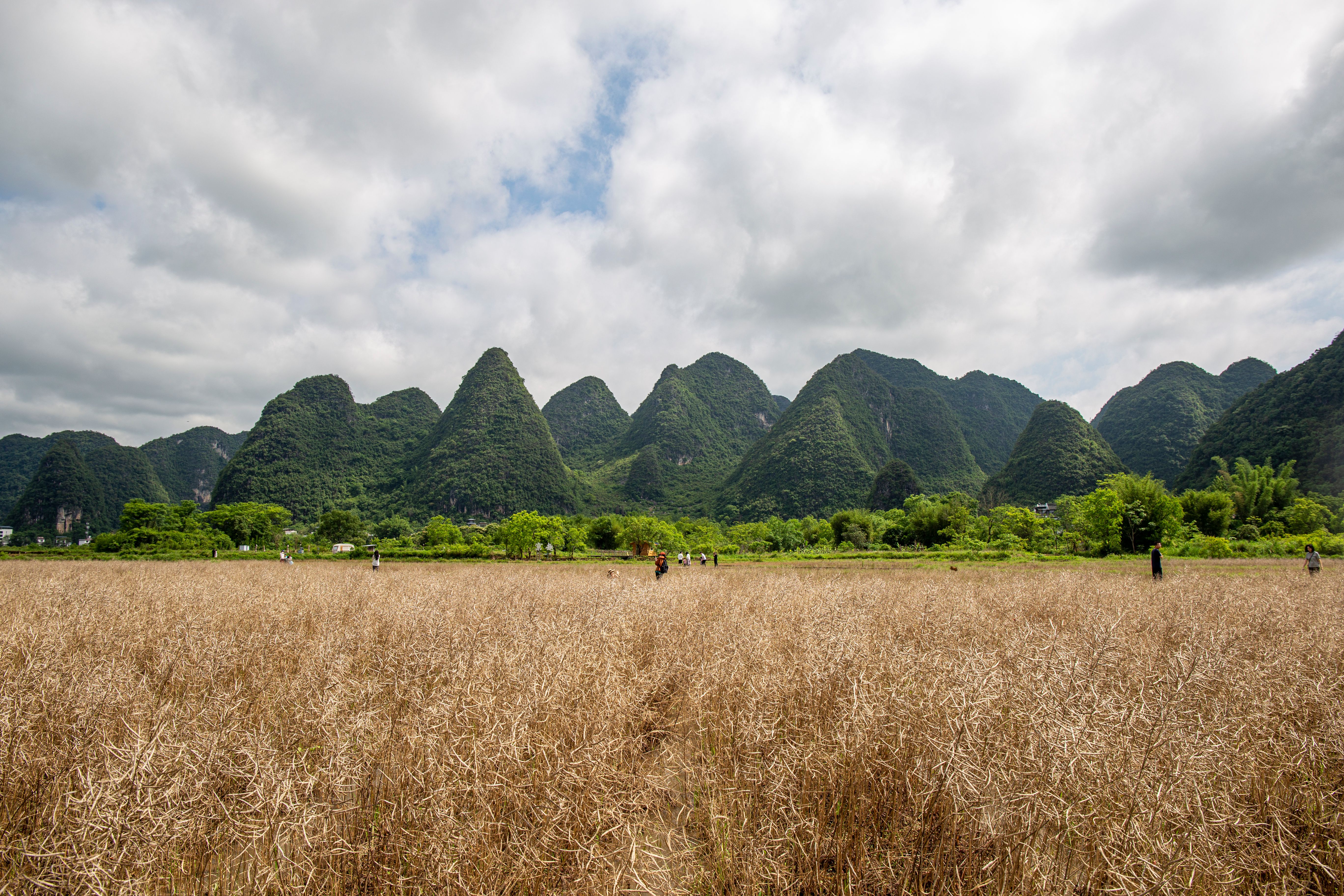 Cycling Around Yangshuo: Complete Route Guide for Karst Mountains