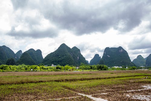 十里画廊, 桂林山水 的 免费素材图片
