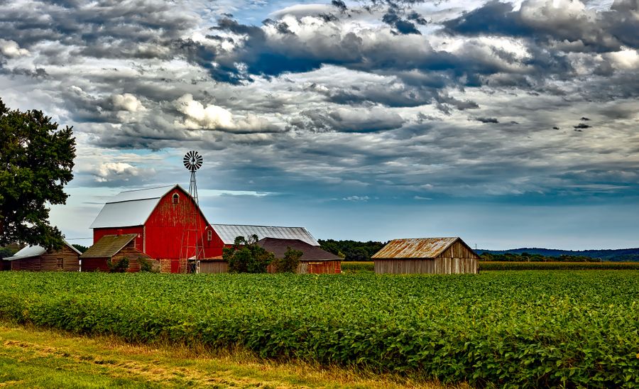 DEI Proximate Farms