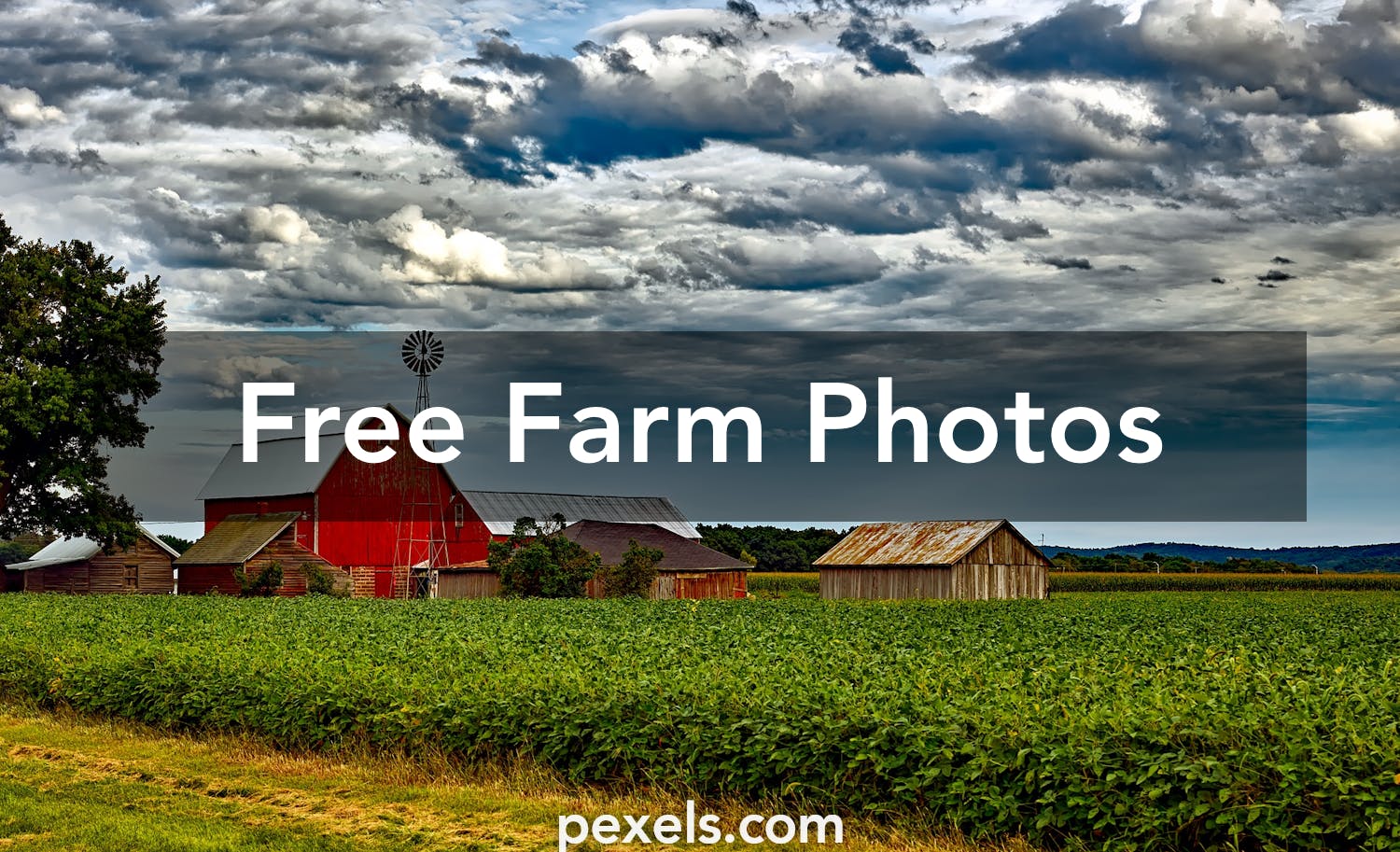 300 Farm  Pictures  Pexels   Free Stock Photos