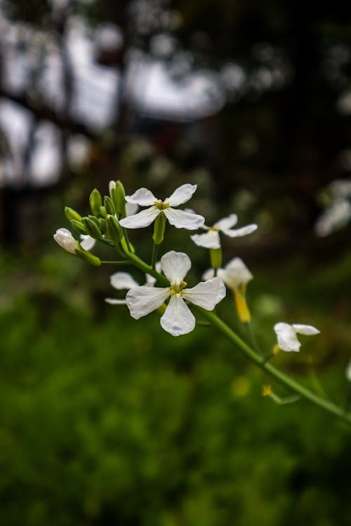 4k, 4Kの壁紙, 8kの壁紙の無料の写真素材