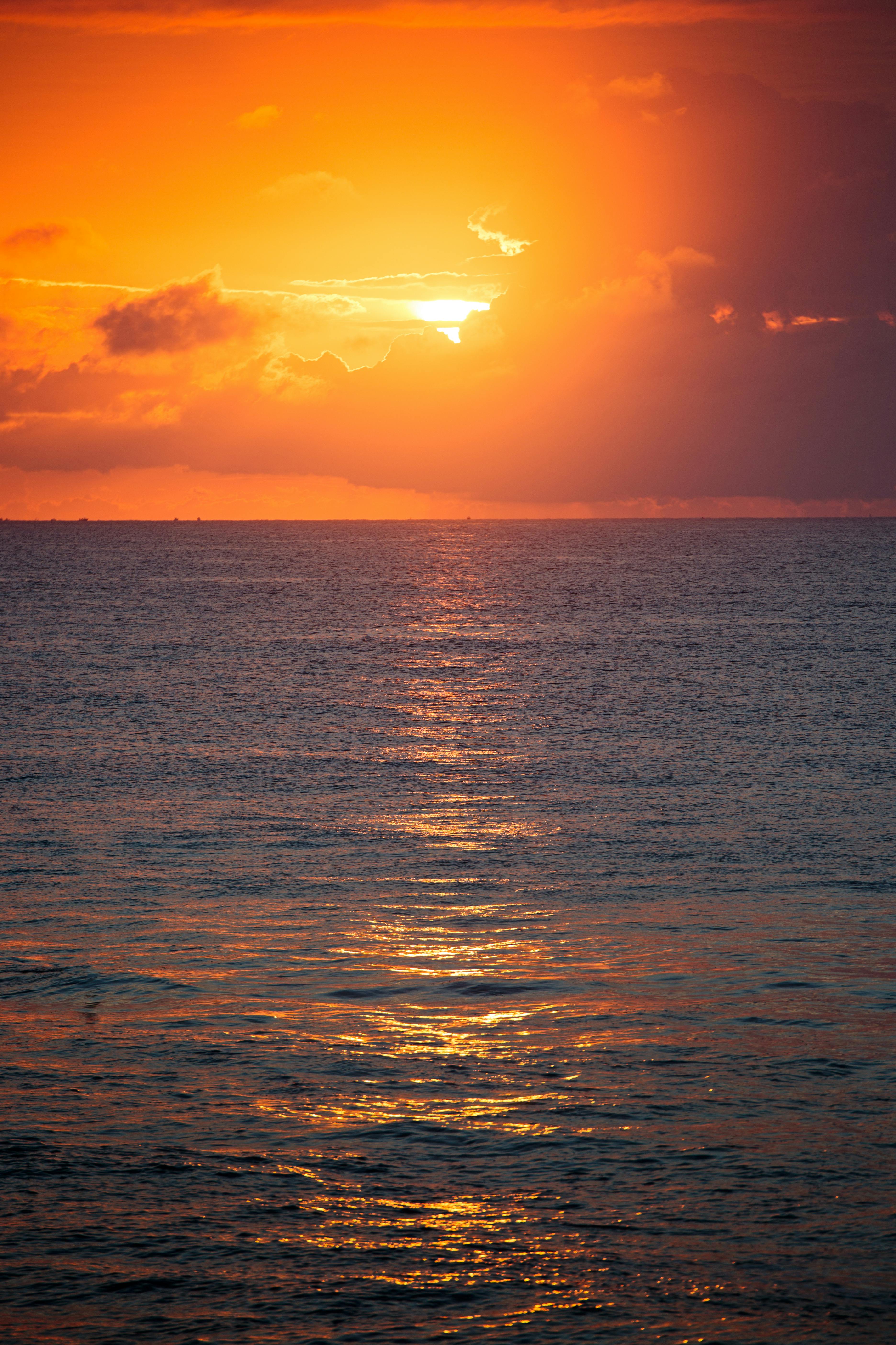 70,000+ Best Sunset Pictures · 100% Free Download · Pexels Stock Photos 70,000+ Best Sunset Pictures · 100% Free Download · Pexels Stock Photos