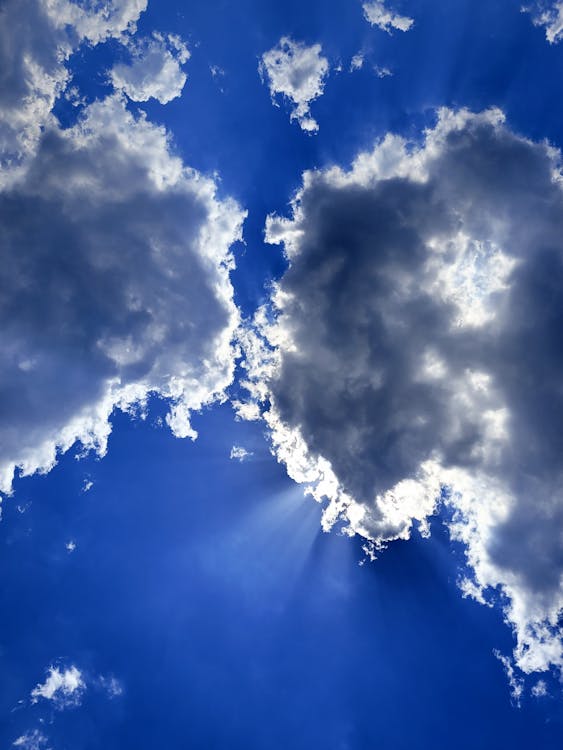 Foto d'estoc gratuïta de bell cel, blau i blanc, captura de núvols