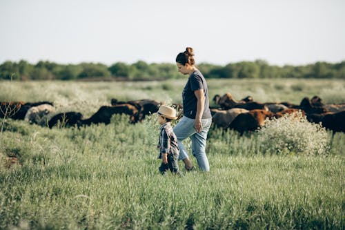 Fotos de stock gratuitas de adulto, agricultura, al aire libre