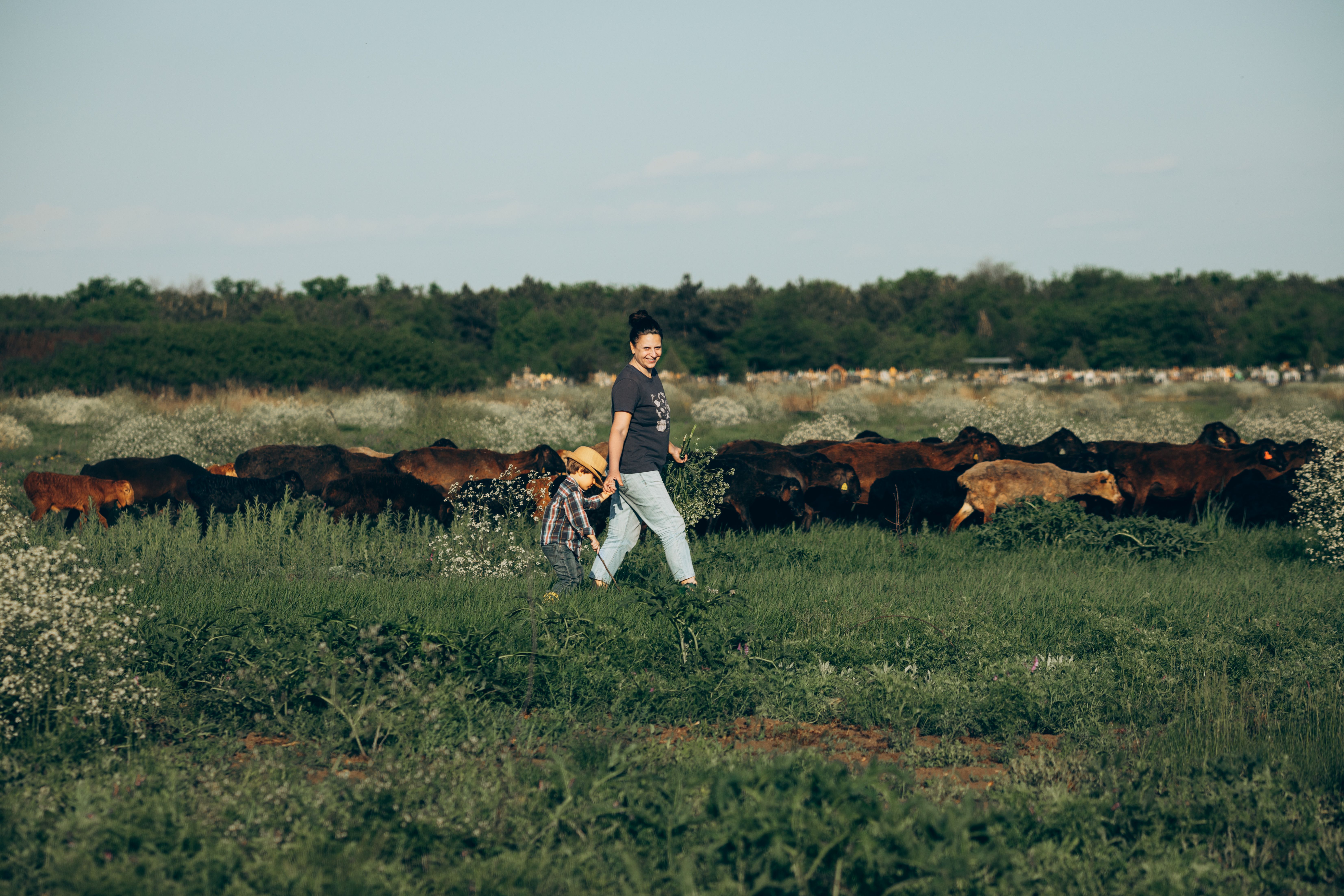 Historic Tennessee river valley farmland