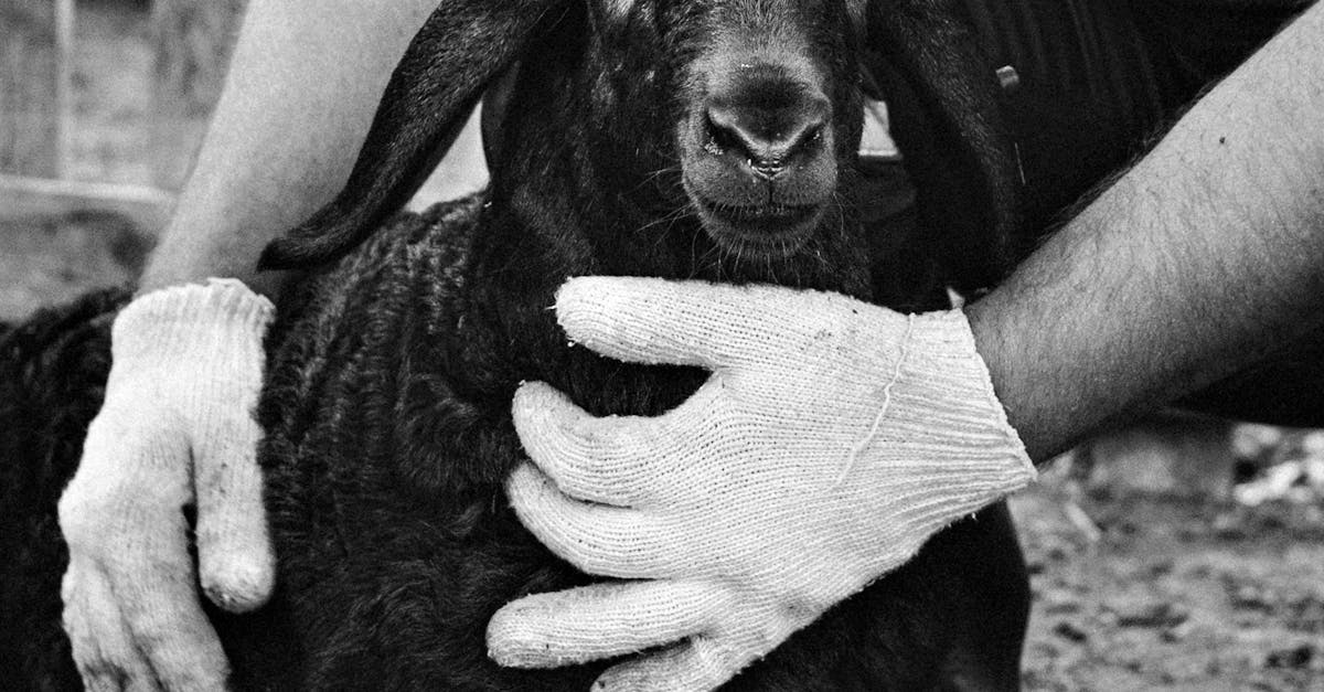 往美出發 葡食生活節 六大社區邀你共創農遊新體驗