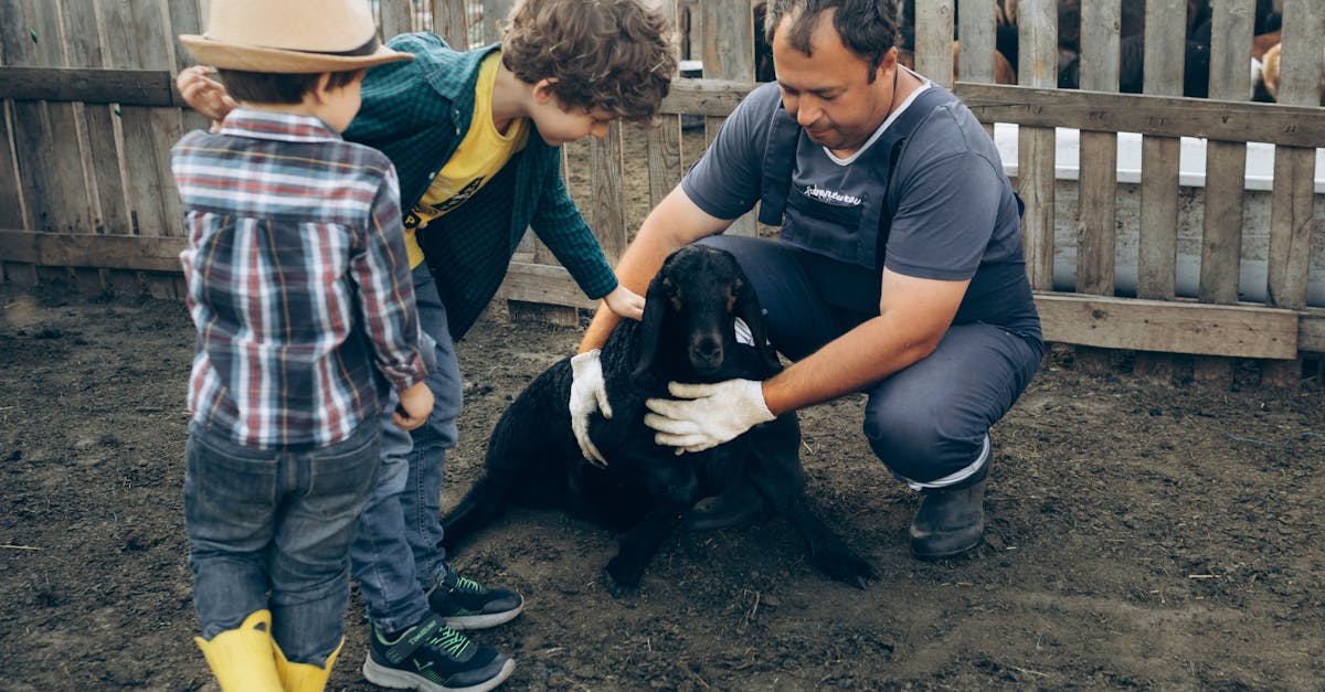 A man and two children petting a dog