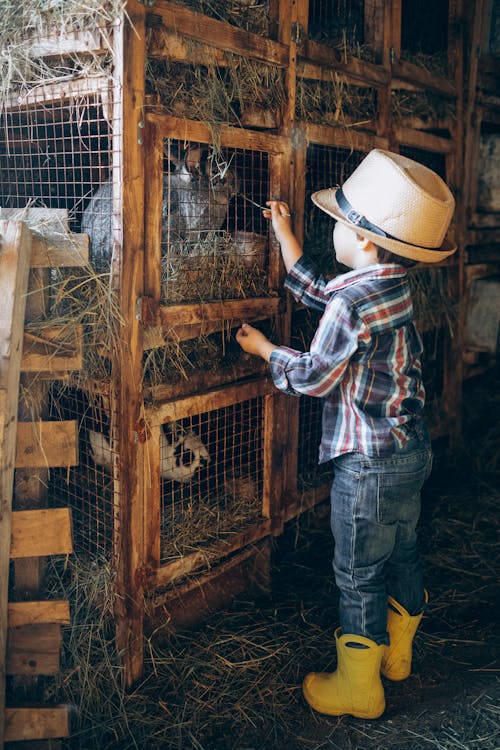 Foto d'estoc gratuïta de a pagès, agricultor, barret de cowboy