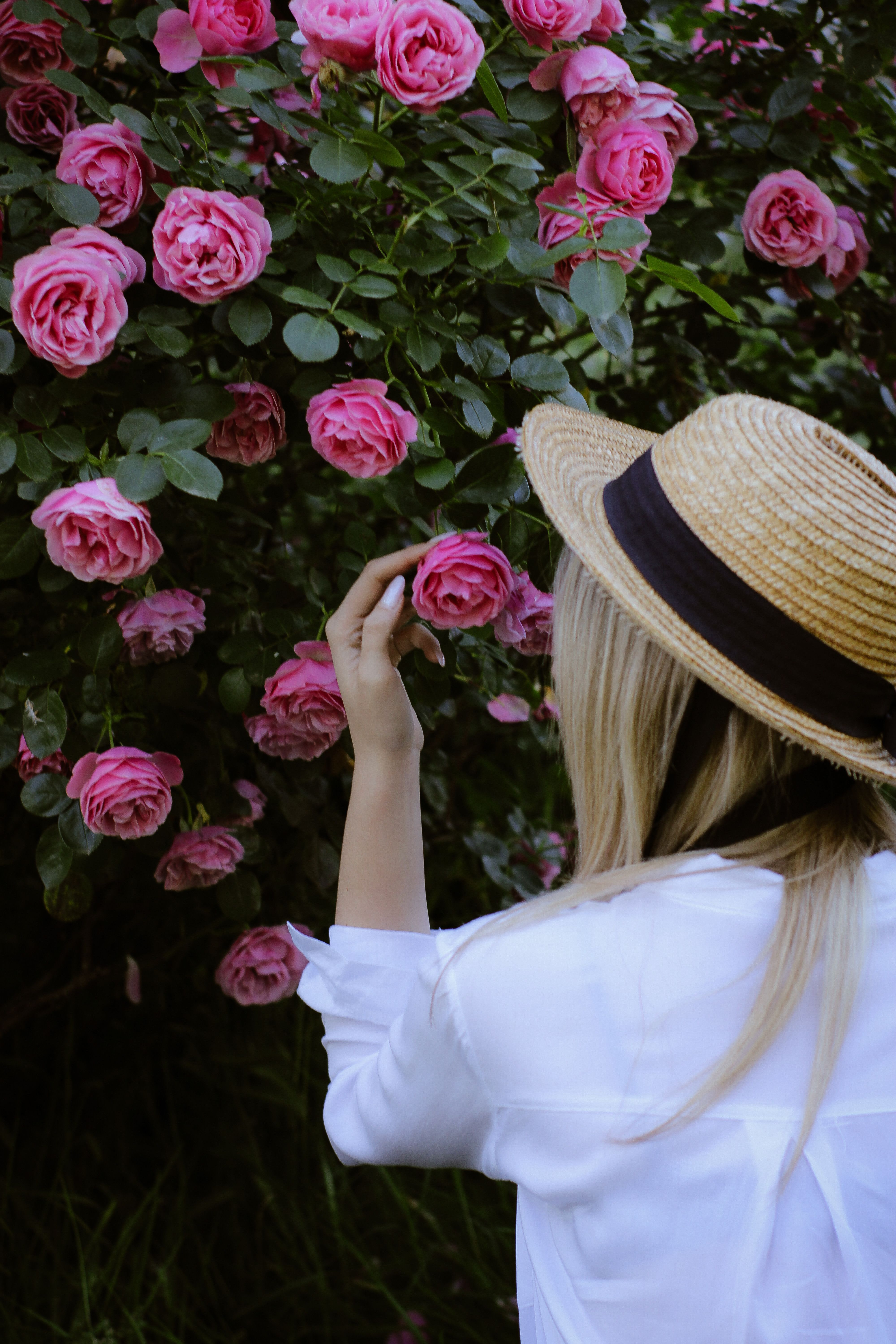 20 Little Ways to Stop and Smell the Roses