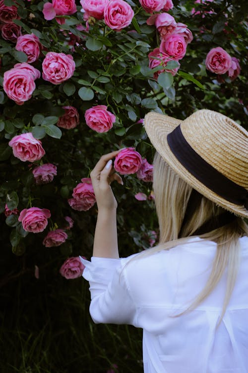 Kostnadsfri bild av blomma, blomning, bröllop