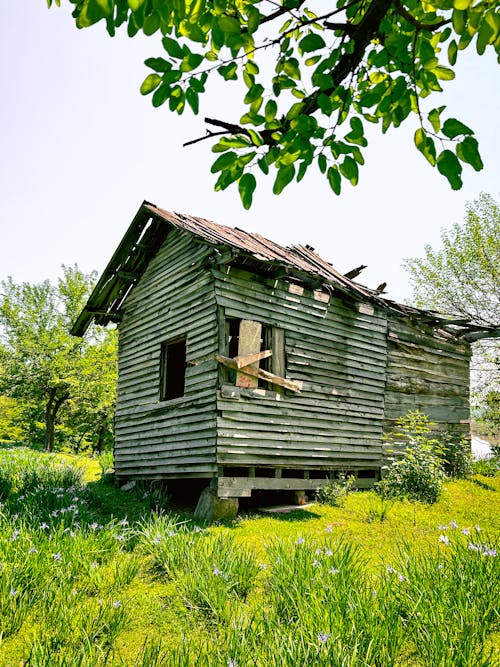 Foto profissional grátis de casa abandonada, casa antiga, caxemira