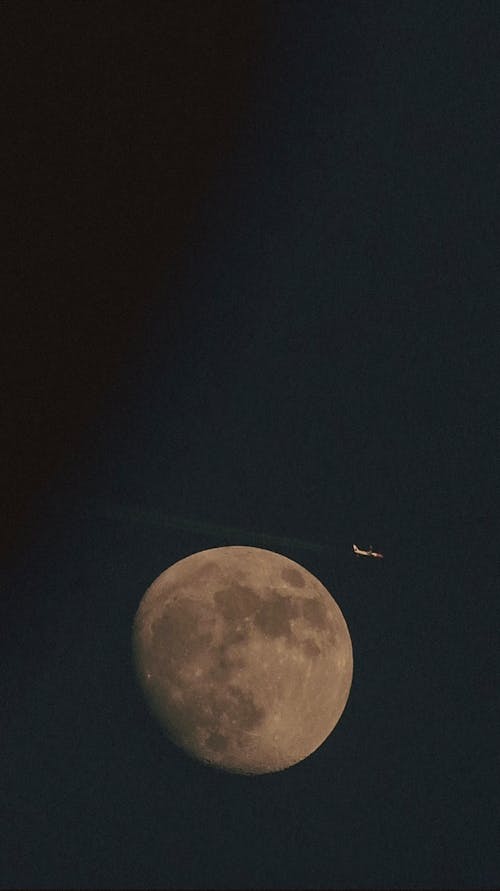 fly me to the moon 