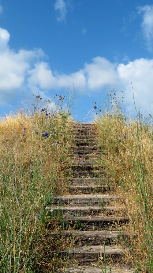 A set of stairs leading up to a grassy hill