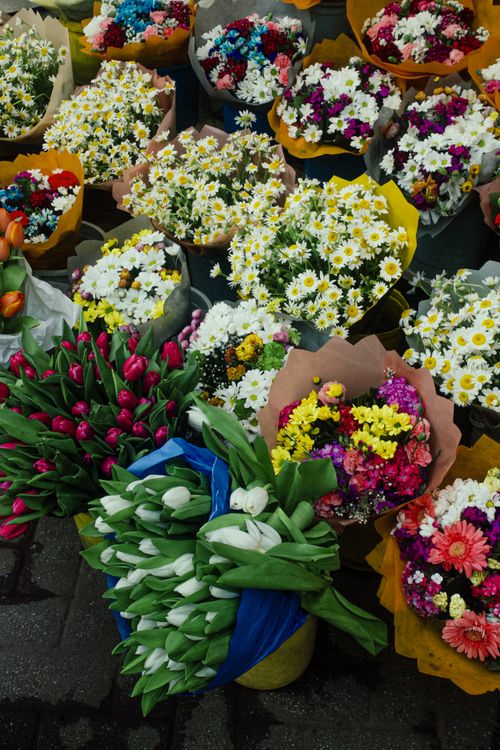 Free Colorful assortment of chrysanthemum, tulip, and daisy bouquets in a street market setting. Stock Photo