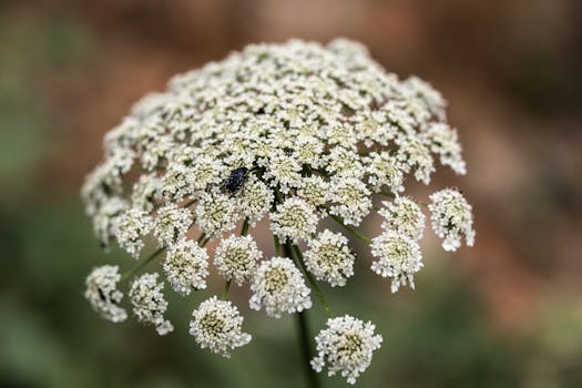 Image by Doğan Alpaslan  Demir