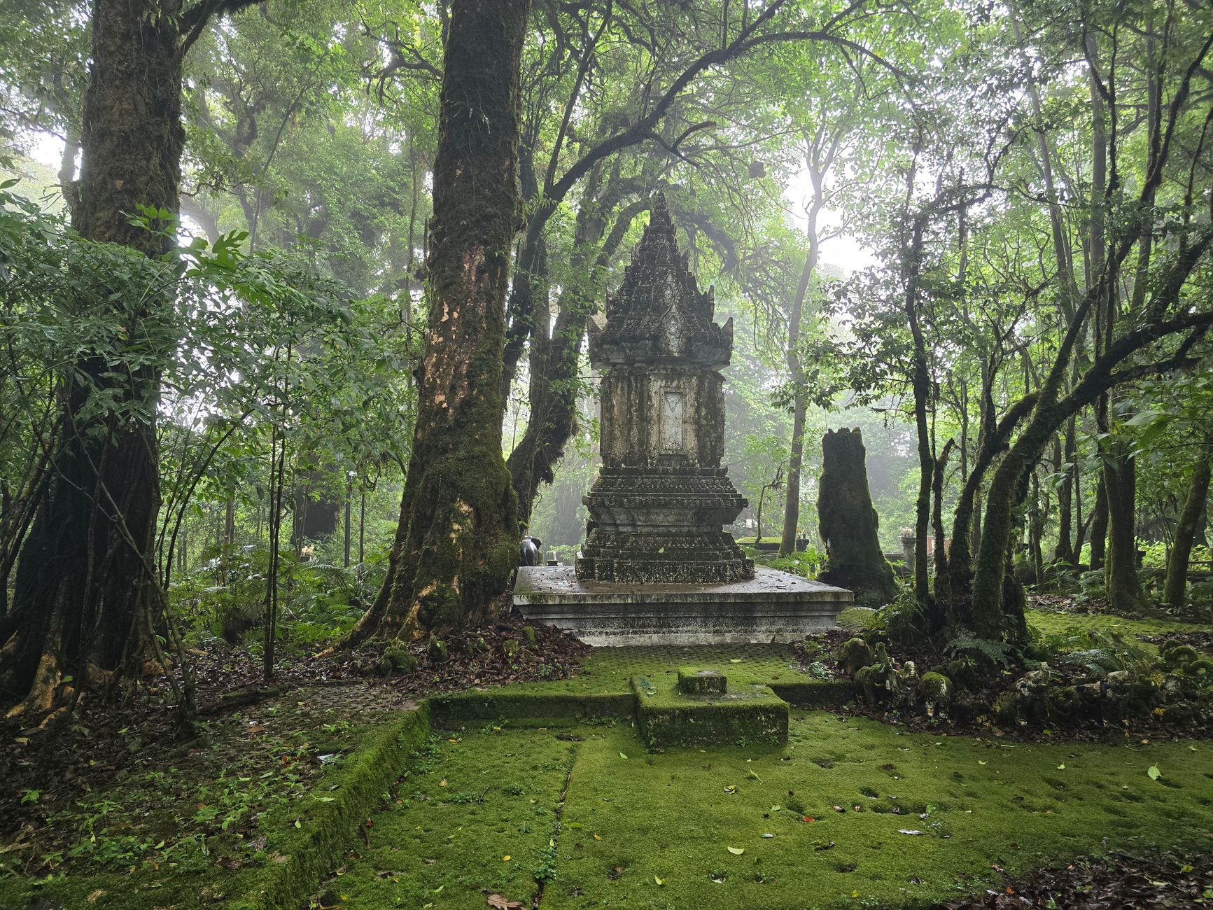 Battling leeches and bamboo roots on the Doi Inthanon jungle trail to the hidden pagoda of Kew Mae Pan