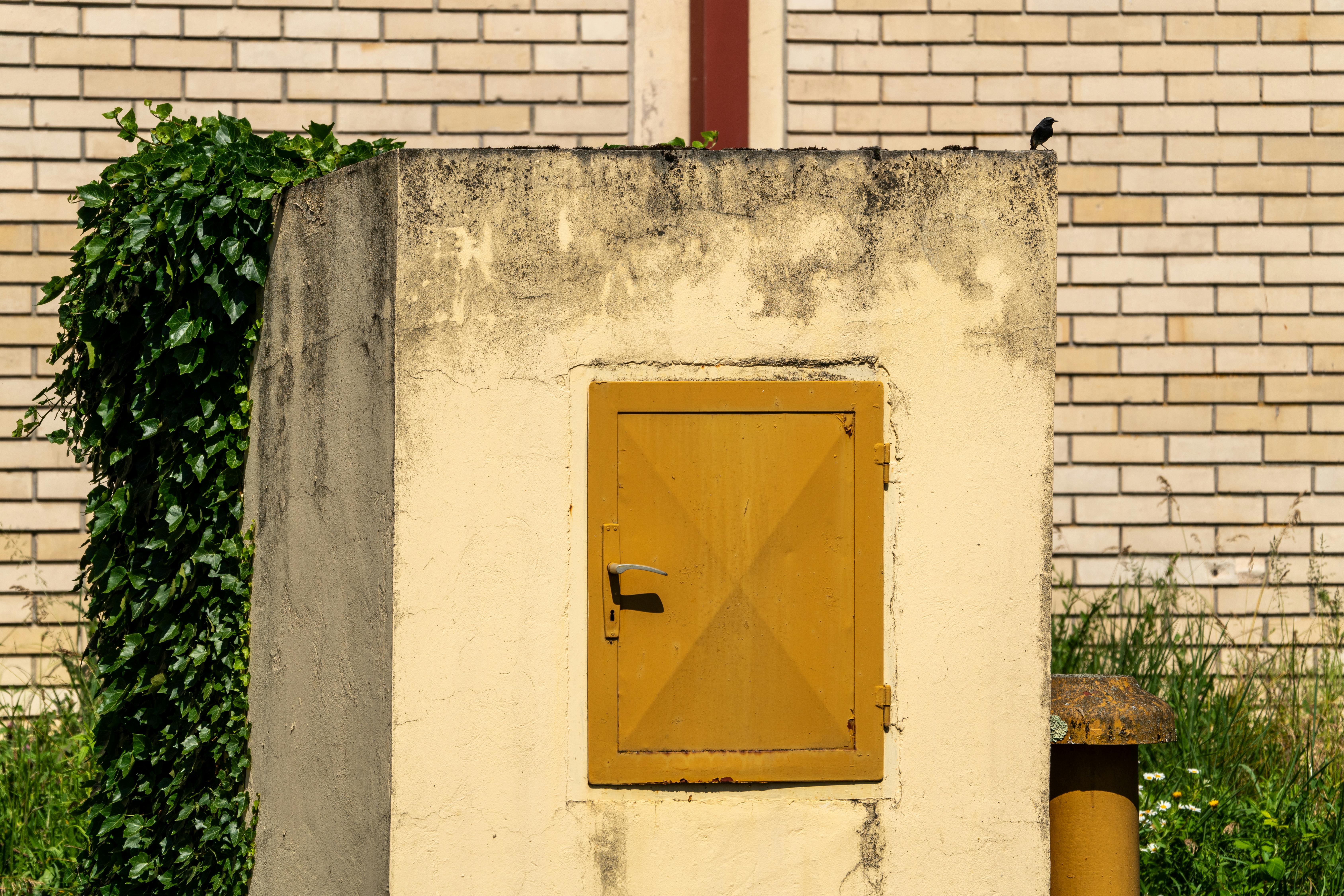 grátis Foto profissional grátis de alça, amarelo, ao ar livre Foto profissional