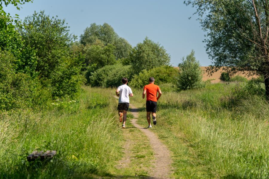 Two runners on a grass trail through summer woodland — photo by Vladimir Srajber on Pexels