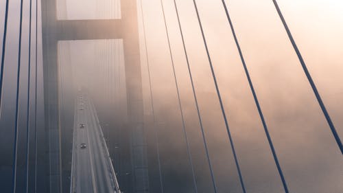 Kostnadsfri bild av arkitektur, bro, dimma