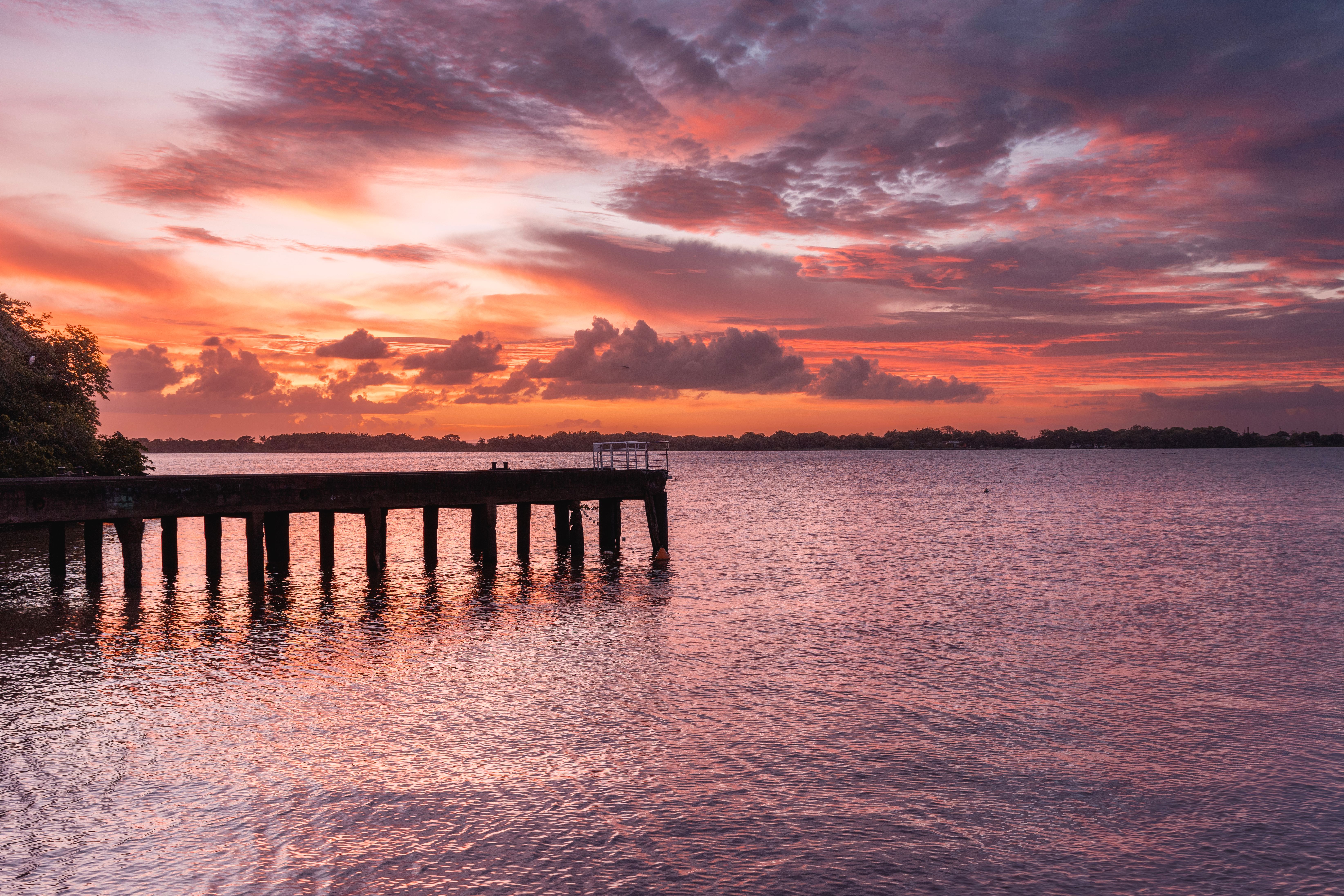 8 Day Plant-Based Wellness Retreat in Suriname, South America 2