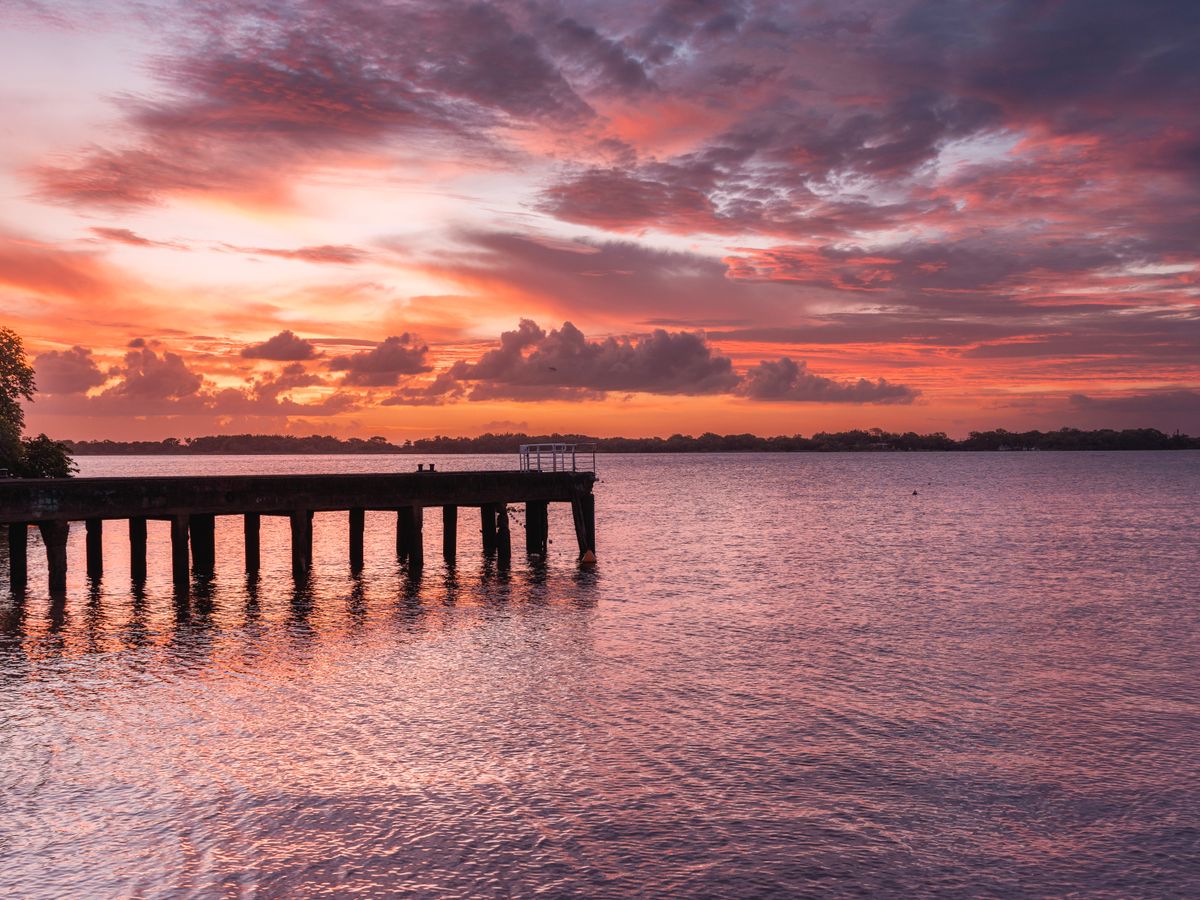 8 Day Plant-Based Wellness Retreat in Suriname, South America 2