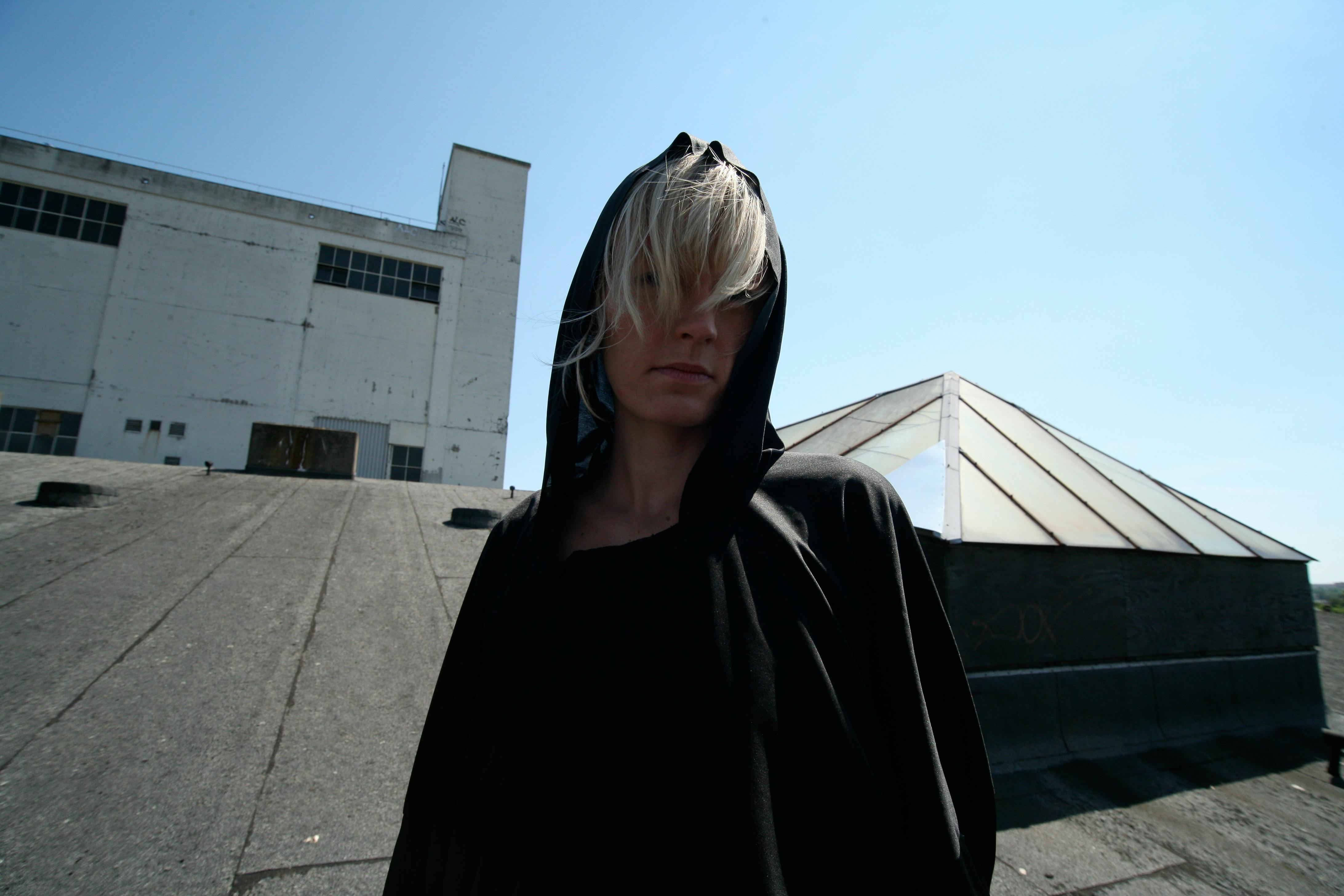 black bug in sugarcane field plantation