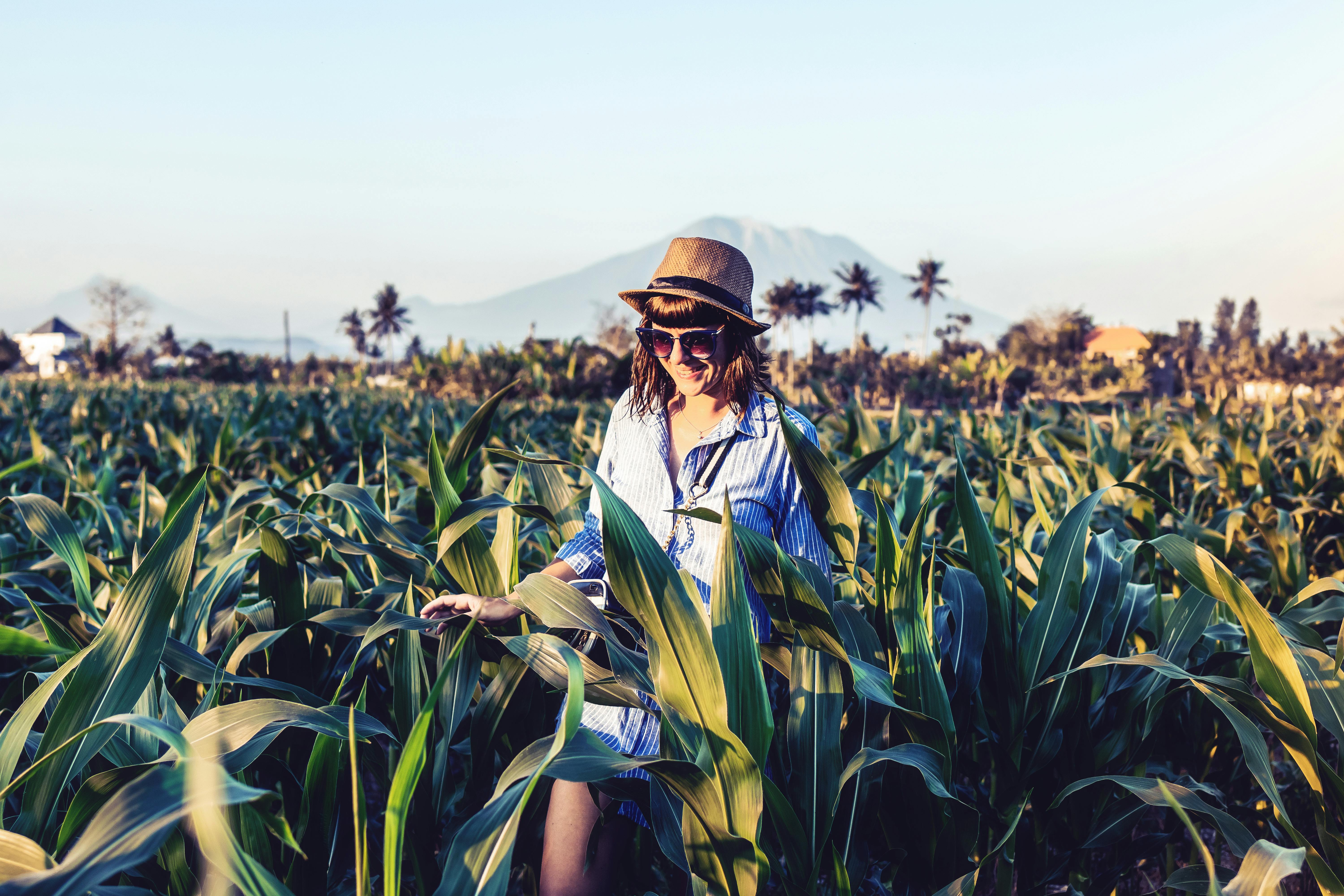 Foto De Uma Mulher Sorridente Caminhando No Meio De Um Campo De Milho
