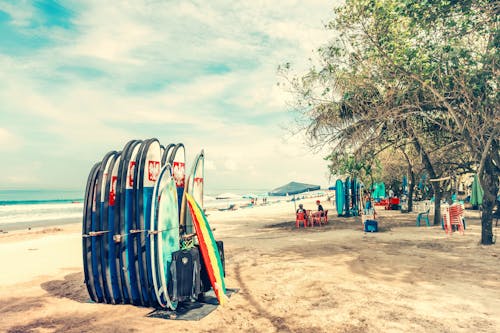 Surf School surfing boards