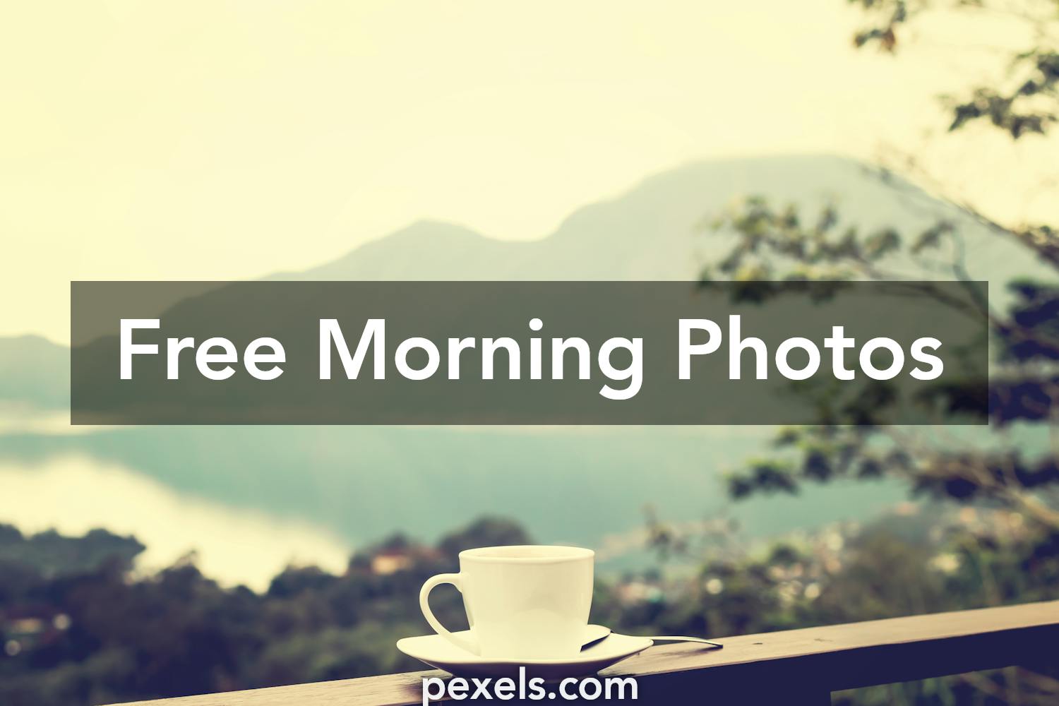 200+ Beautiful Morning Photos · Pexels · Free Stock Photos