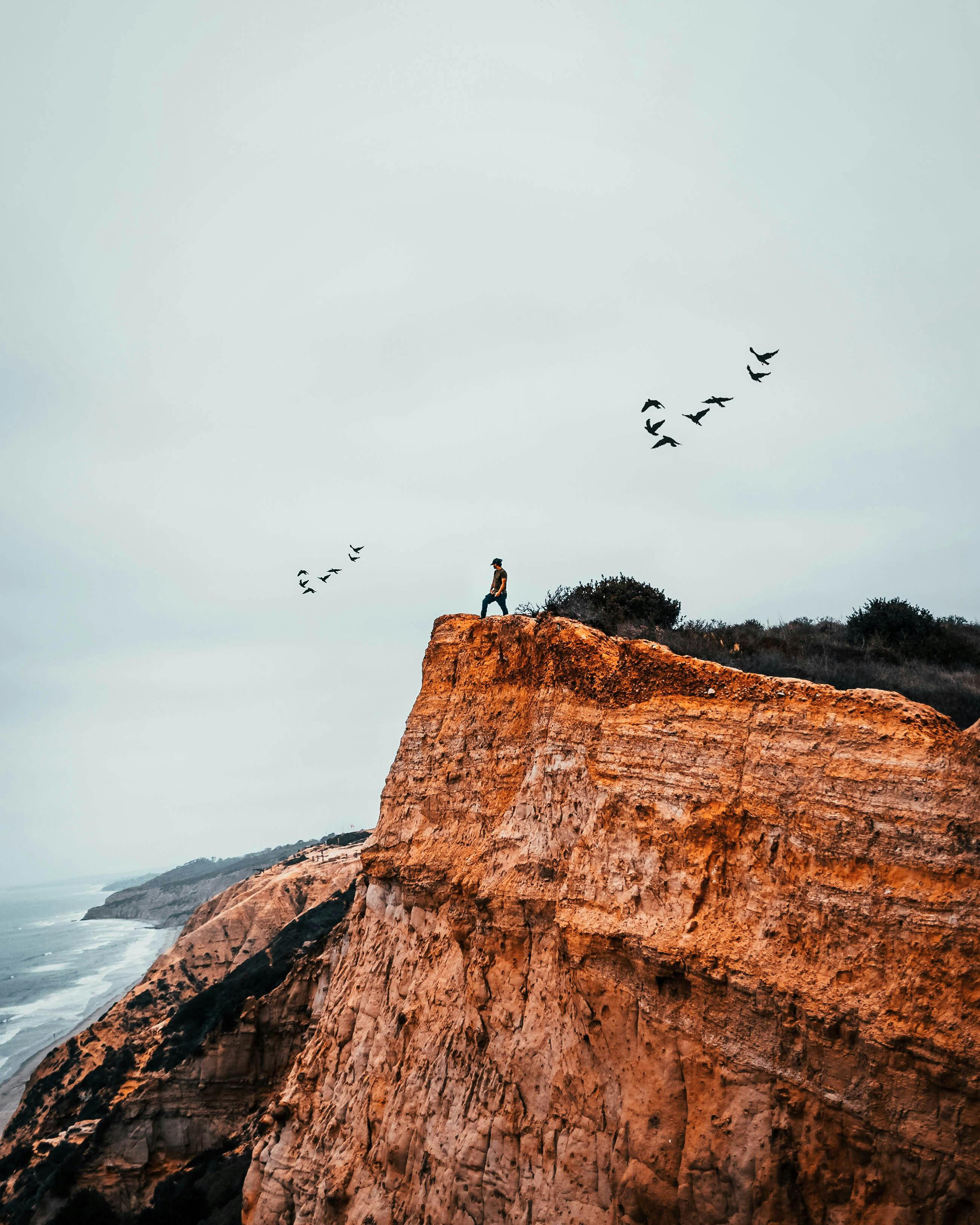 日落时分，一个人站在海边崎岖的悬崖上，鸟儿在附近翱翔