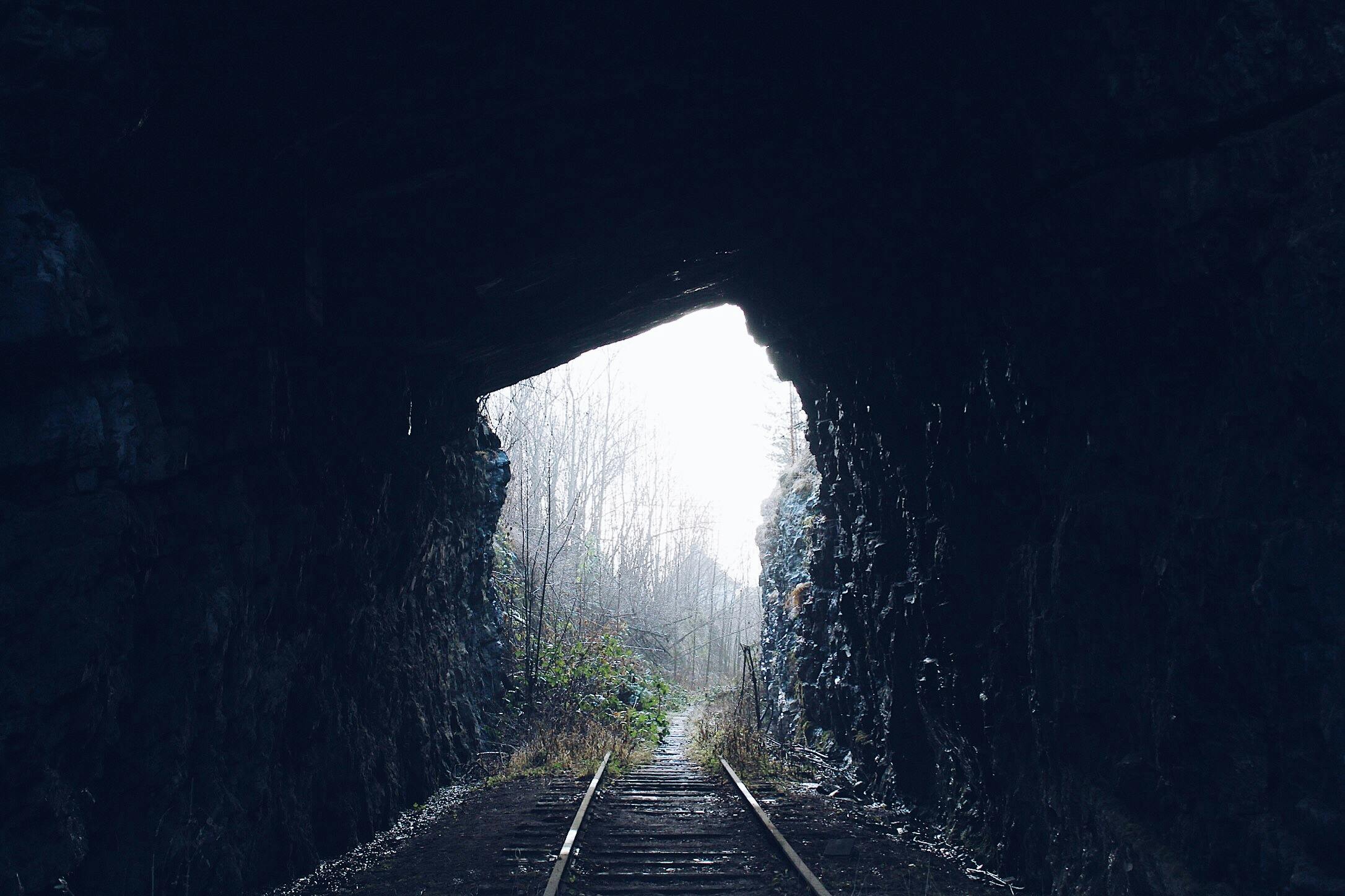 1,450 Basketball Tunnel Stock Photos, High-Res Pictures, and