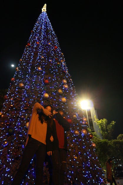 Illuminated Christmas Tree at Night