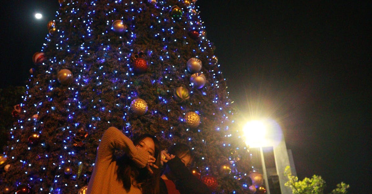 Illuminated Christmas Tree at Night