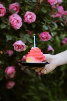 A hand holds a small colorful cake with a candle in front of blooming pink roses.