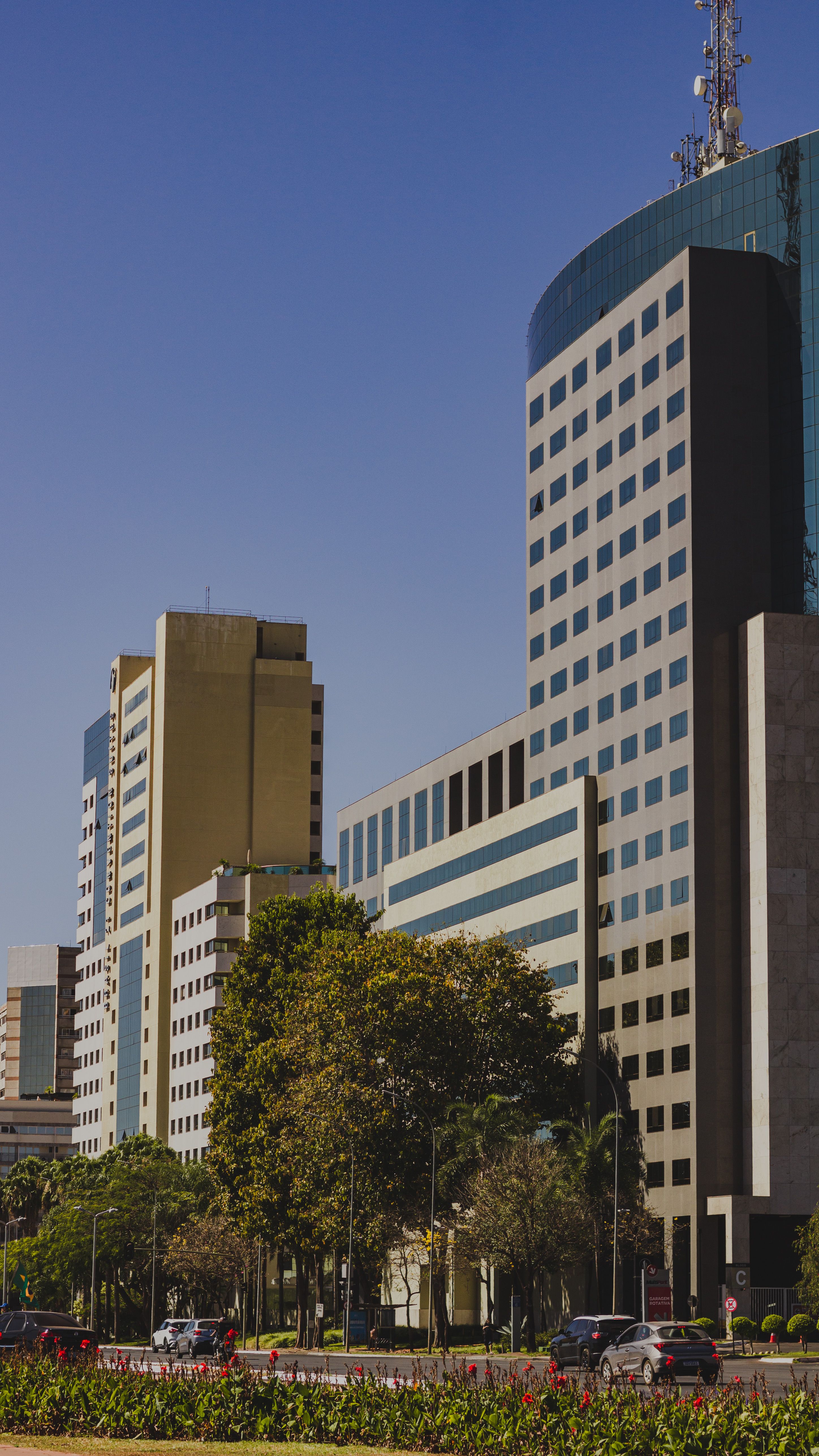 A view of modern office skyscrapers in Brasília with trees and cars in foreground.