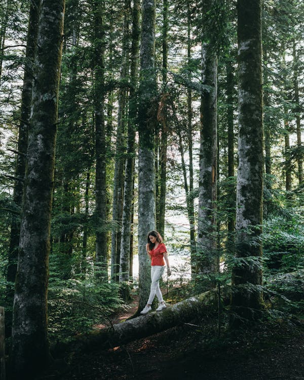 Photo of Woman in Red V-neck Top Walking on a Tree Log Between Trees