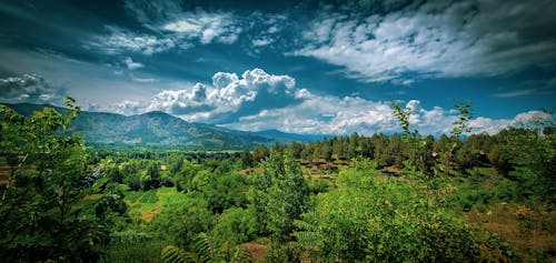 Fotos de stock gratuitas de nubes